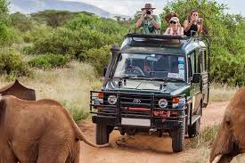 Serengeti & Spice Island Escape